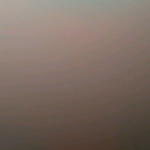 Meet your Posher, Paul